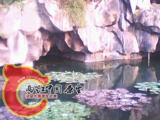 IMG0003A.jpg