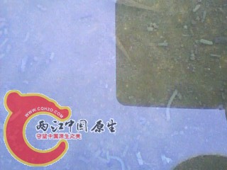 IMG0013A.jpg
