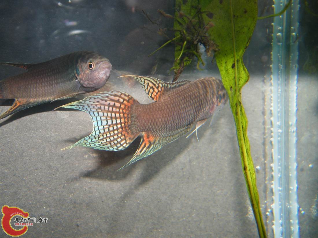 调整大小 照片 055.jpg