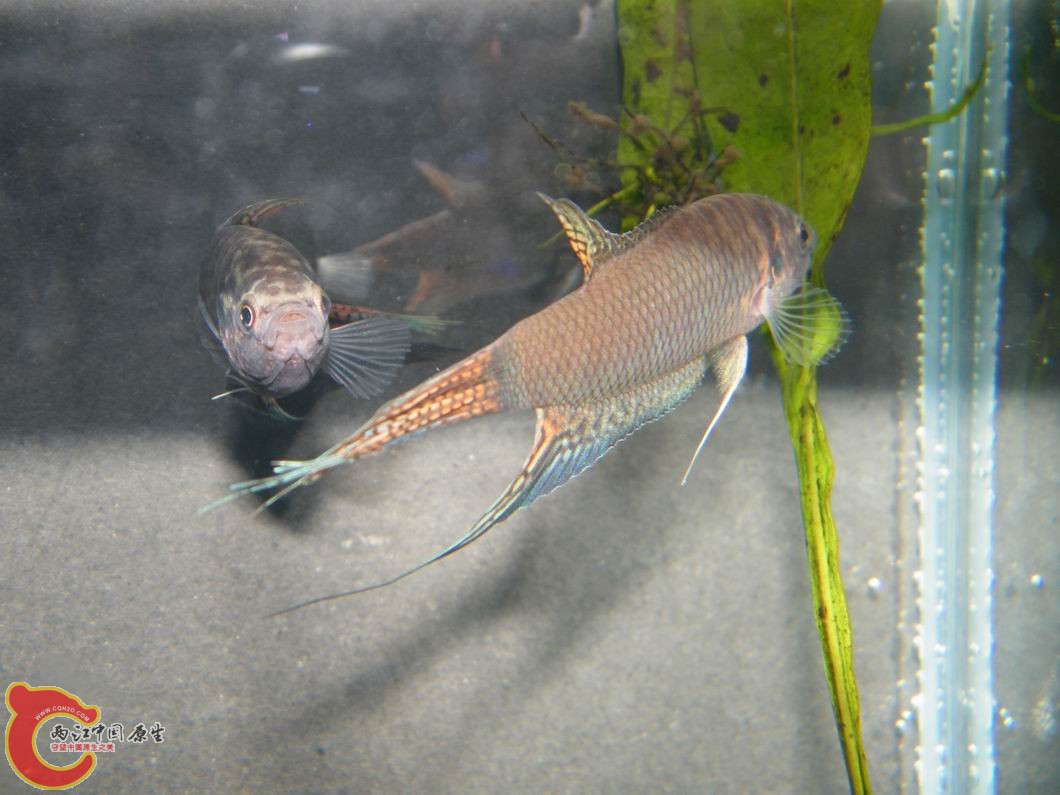 调整大小 照片 058.jpg