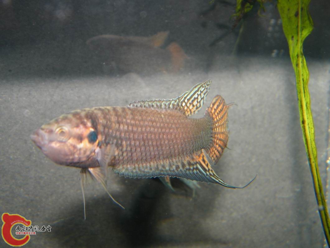 调整大小 照片 060.jpg