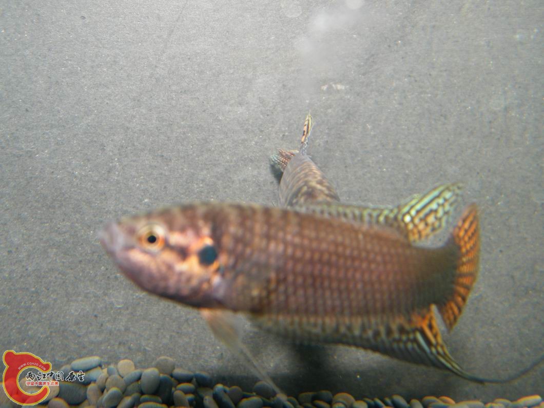 调整大小 照片 061.jpg