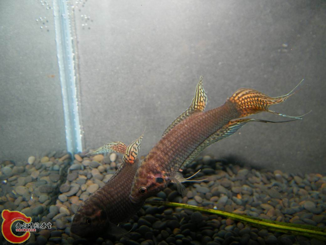 调整大小 照片 064.jpg