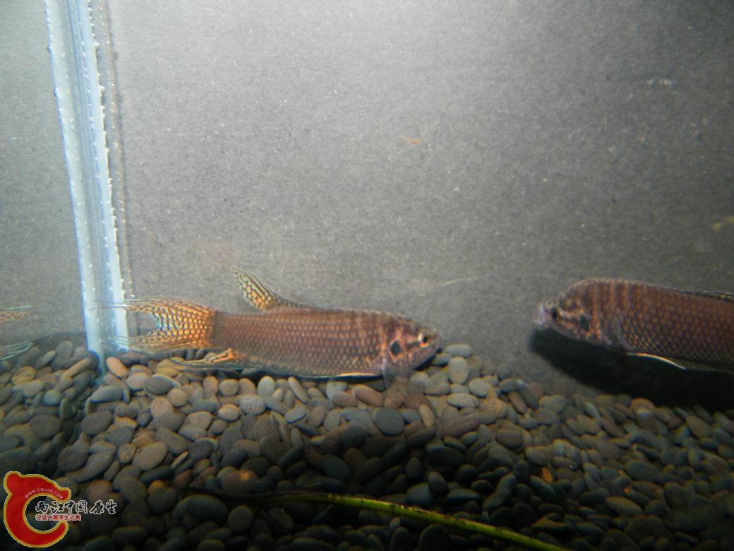 调整大小 照片 069.jpg