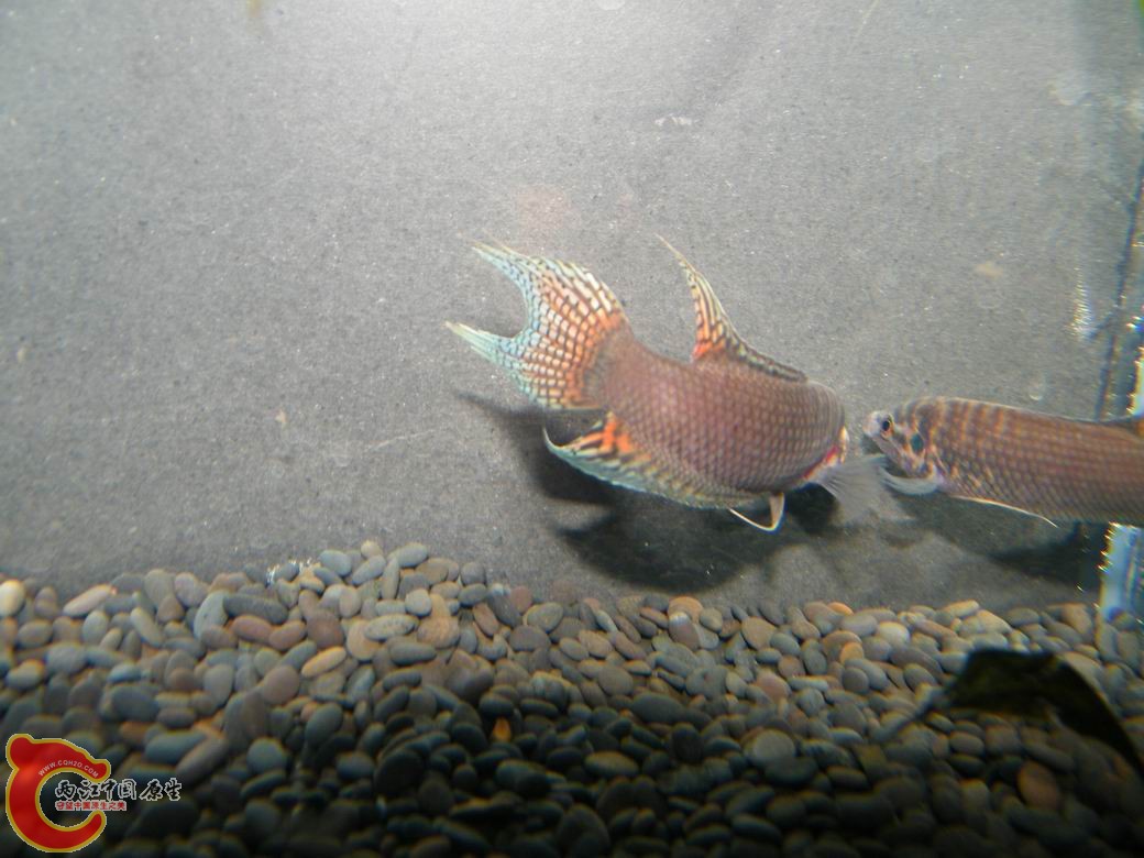 调整大小 照片 071.jpg