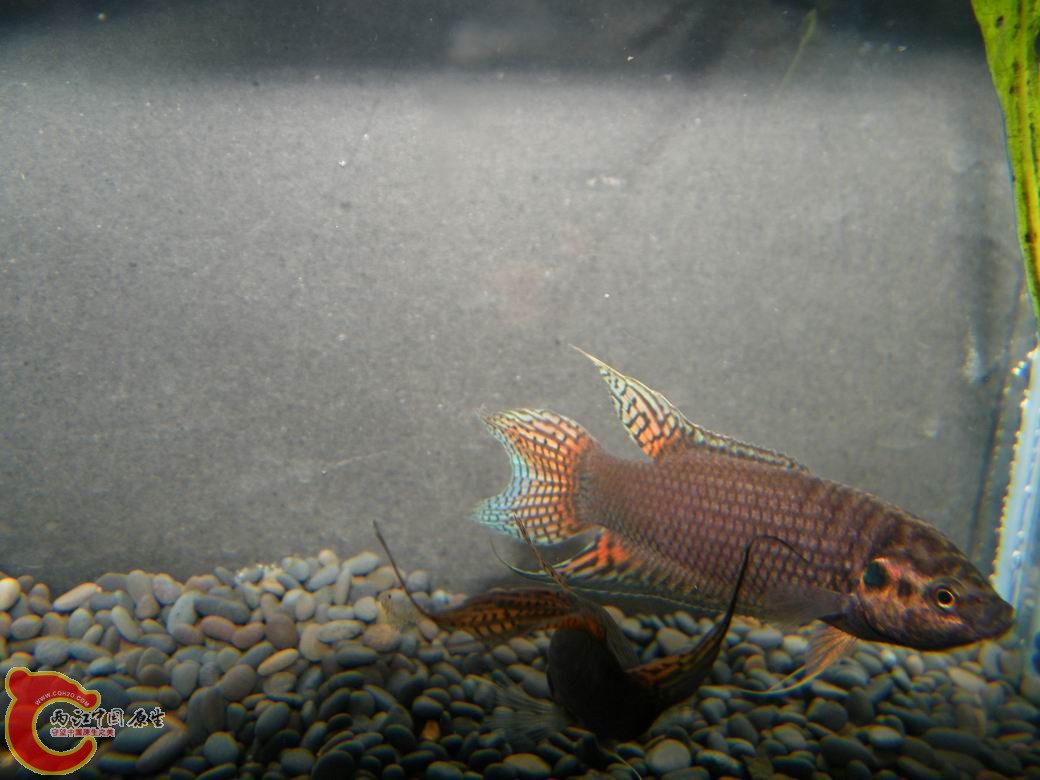 调整大小 照片 072.jpg