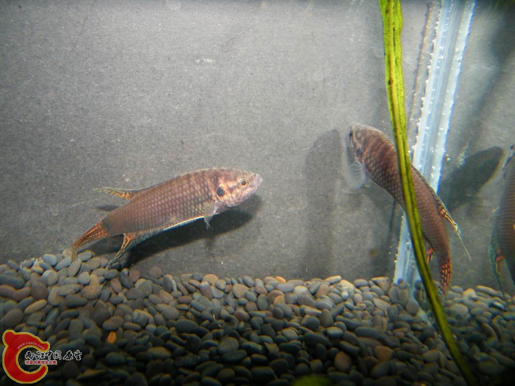 调整大小 照片 073.jpg