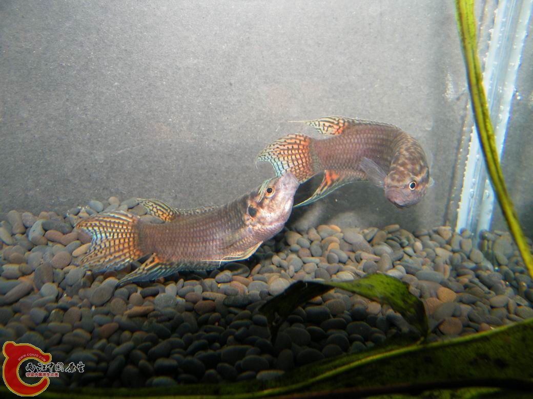 调整大小 照片 075.jpg