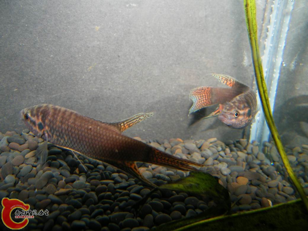 调整大小 照片 076.jpg