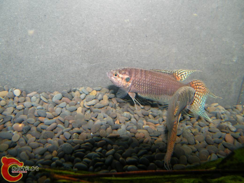 调整大小 照片 080.jpg