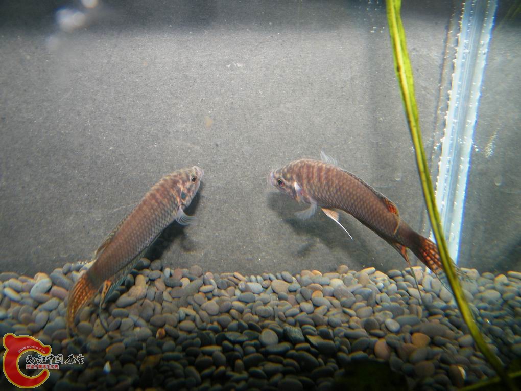 调整大小 照片 083.jpg