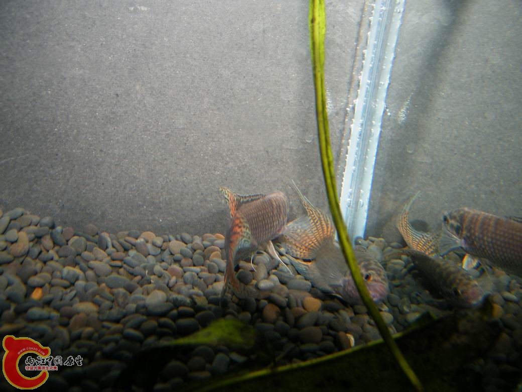 调整大小 照片 074.jpg