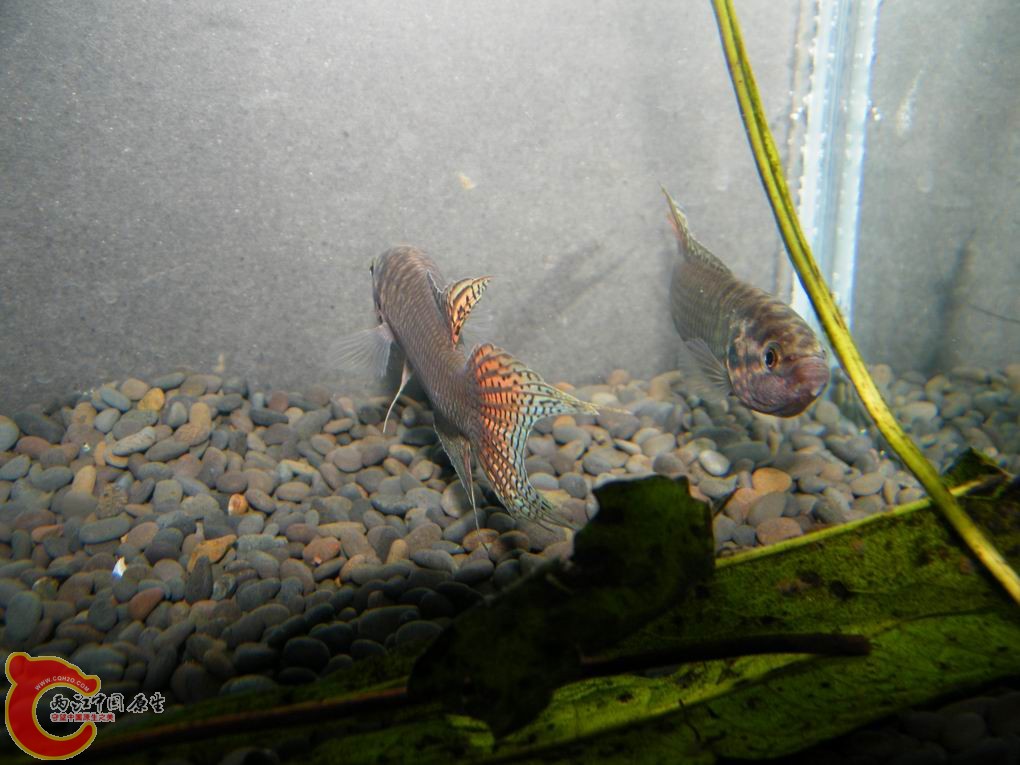 调整大小 照片 085.jpg