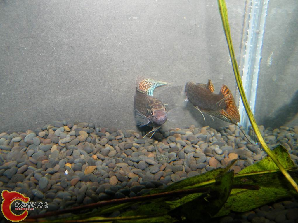 调整大小 照片 089.jpg