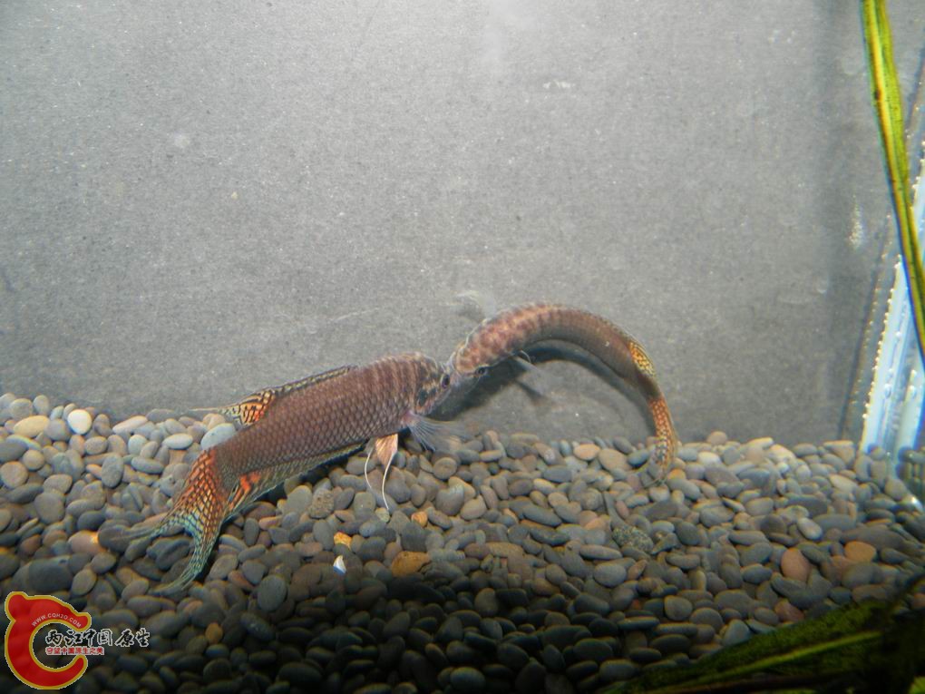 调整大小 照片 092.jpg