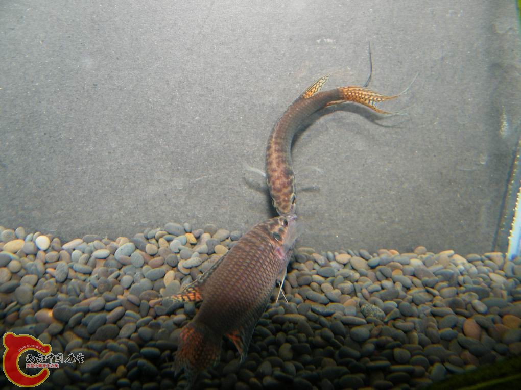 调整大小 照片 093.jpg