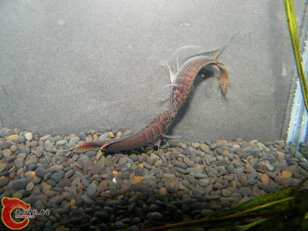 调整大小 照片 091.jpg