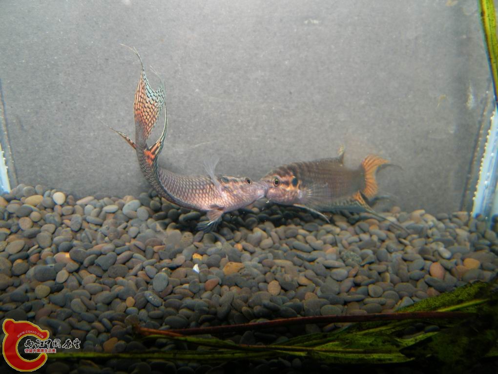 调整大小 照片 090.jpg