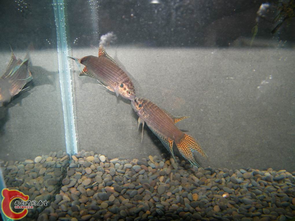 调整大小 照片 103.jpg