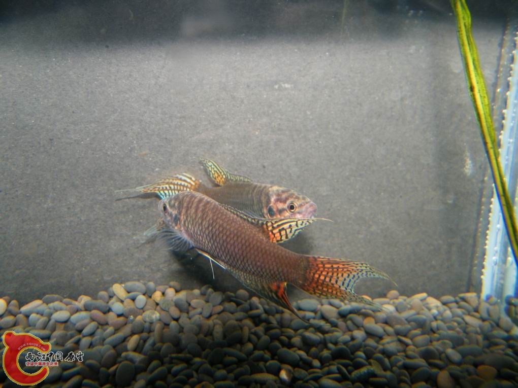 调整大小 照片 095.jpg