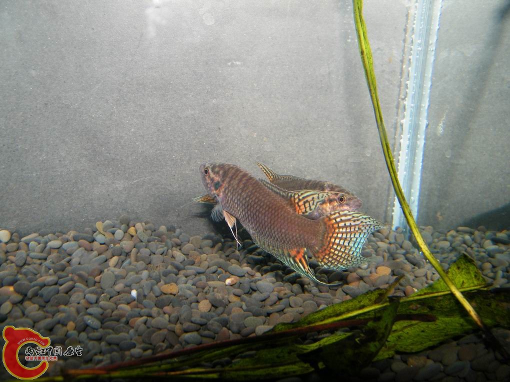 调整大小 照片 101.jpg