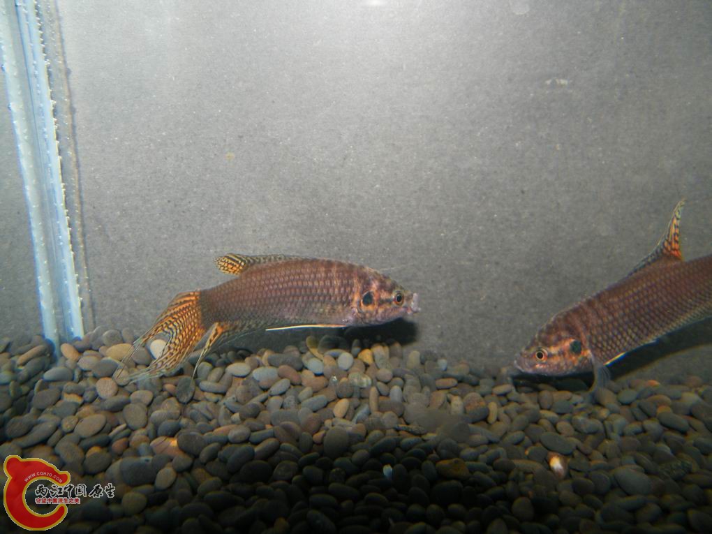 调整大小 照片 097.jpg