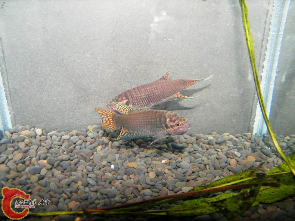 调整大小 照片 102.jpg