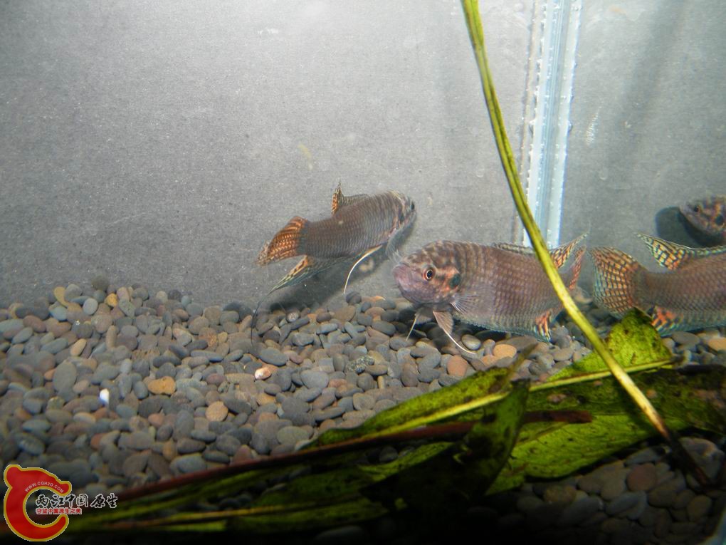 调整大小 照片 100.jpg