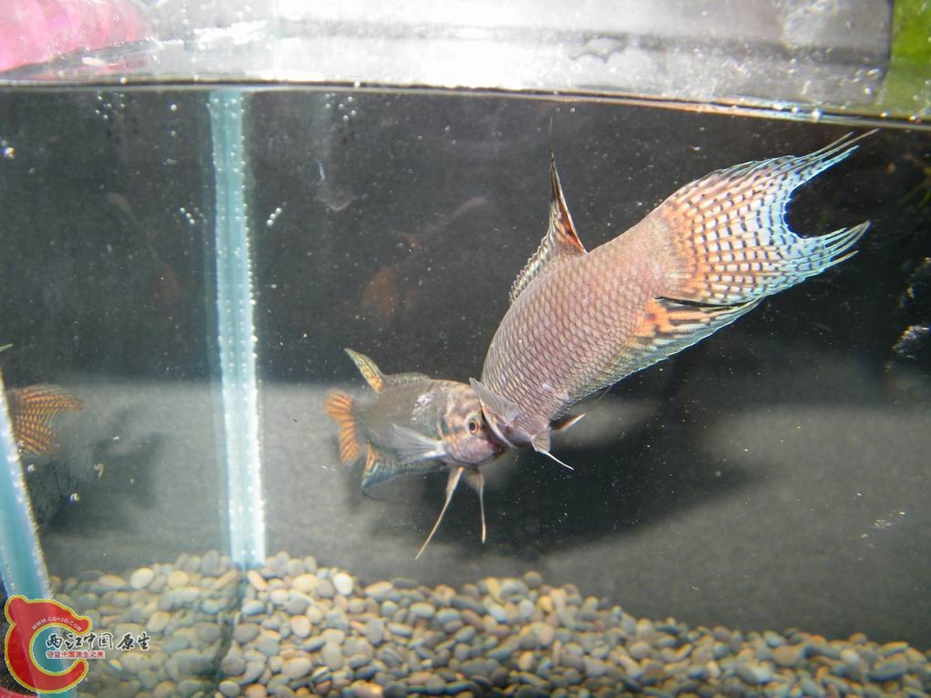 调整大小 照片 105.jpg