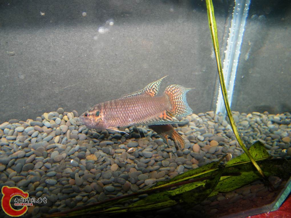 调整大小 照片 110.jpg