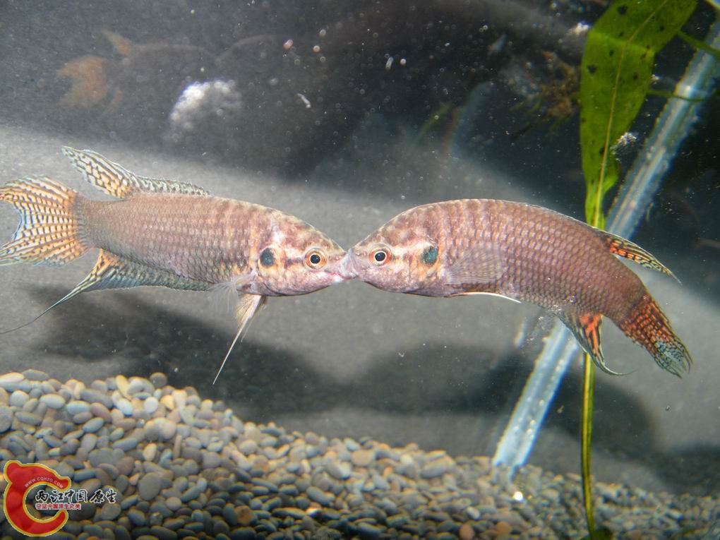 调整大小 照片 106.jpg