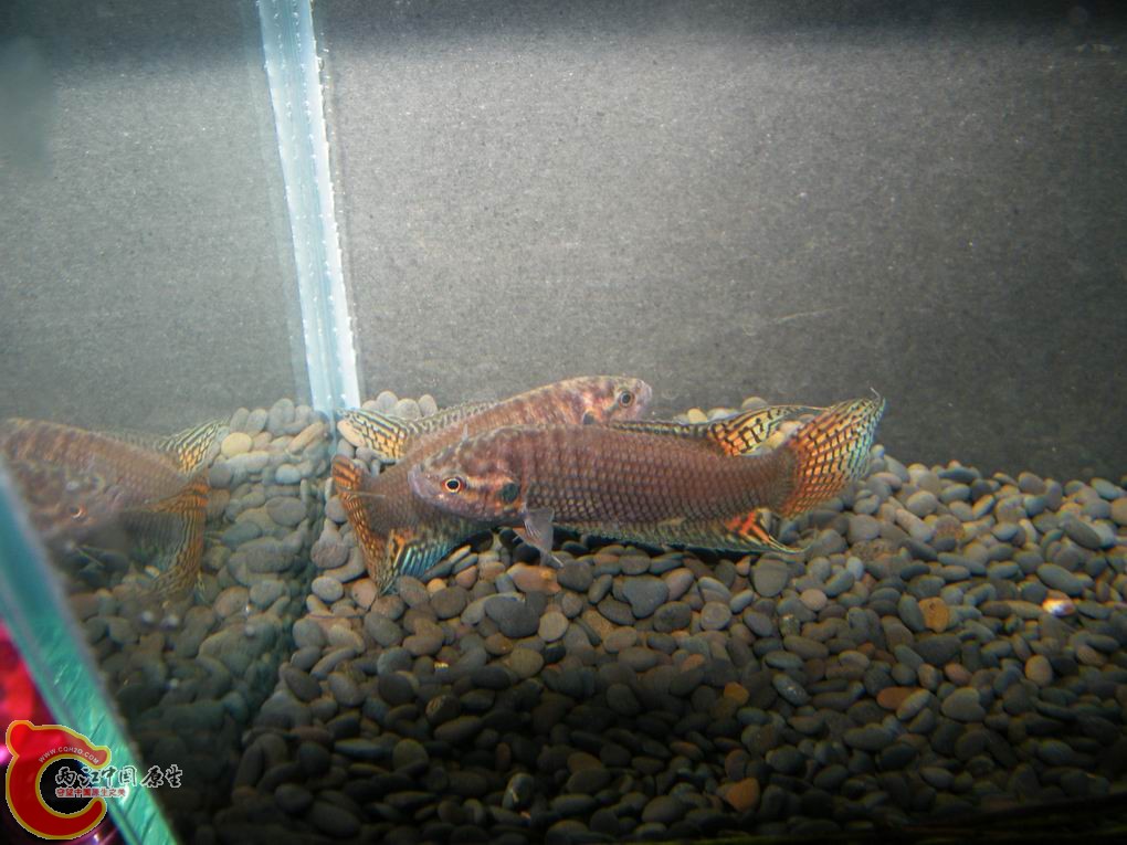 调整大小 照片 107.jpg