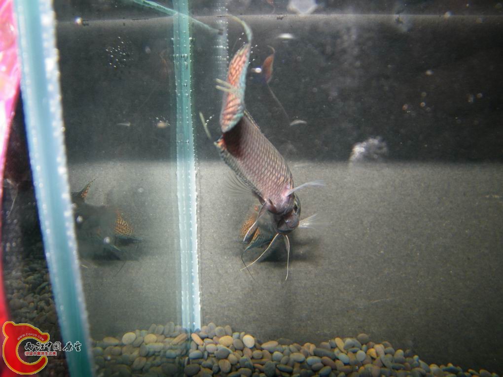 调整大小 照片 104.jpg