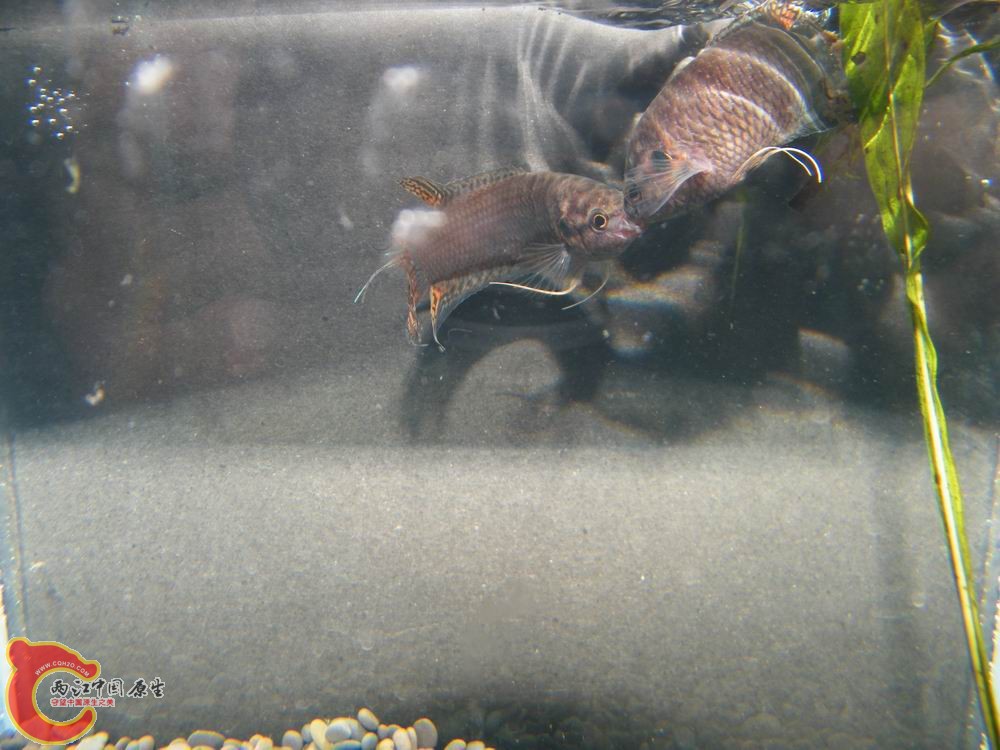 调整大小 照片 120.jpg