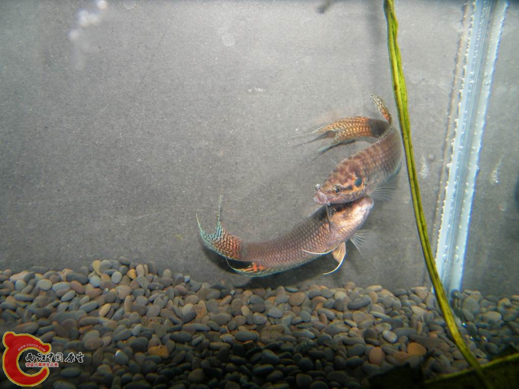 调整大小 照片 116.jpg