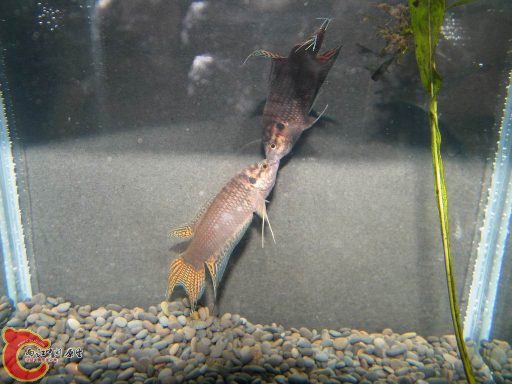 调整大小 照片 117.jpg