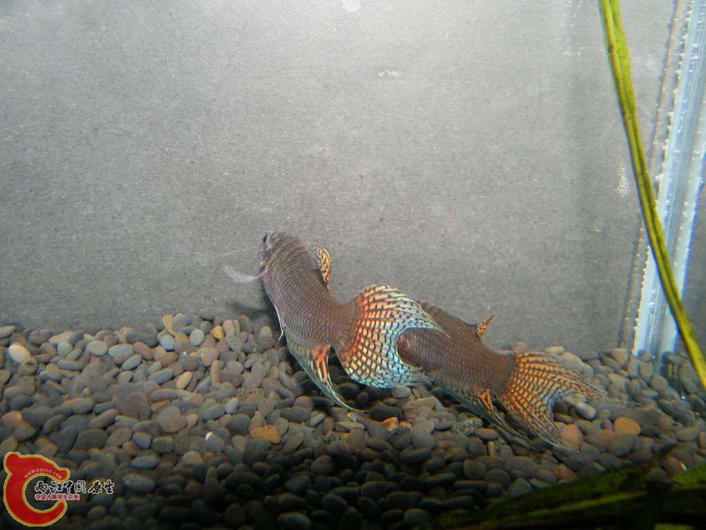 调整大小 照片 114.jpg