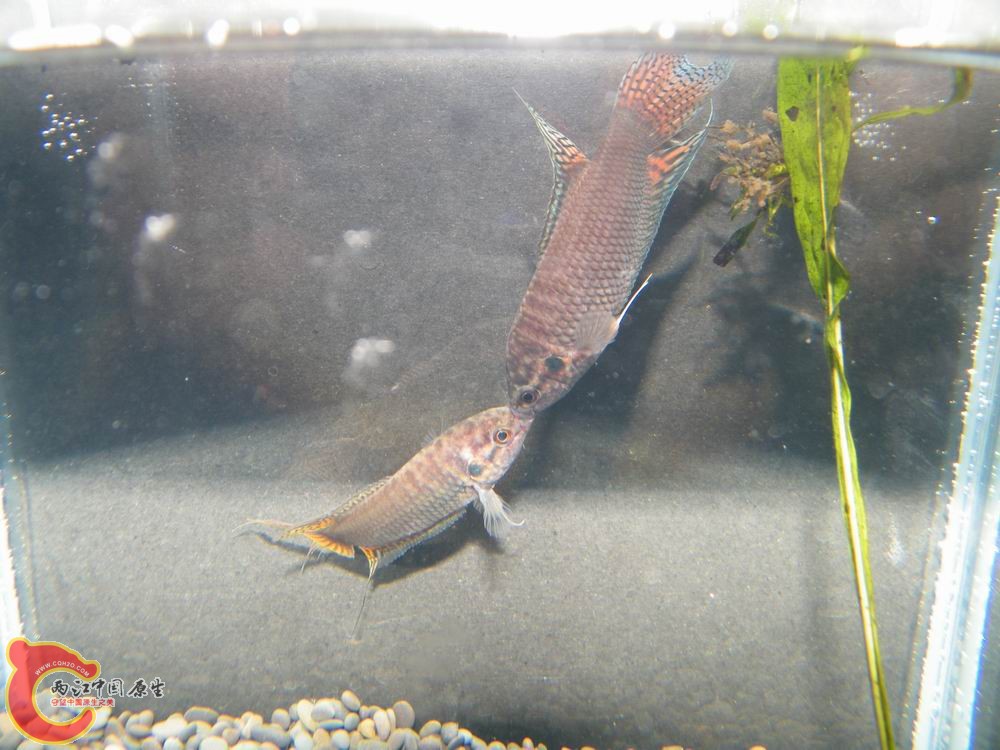 调整大小 照片 119.jpg