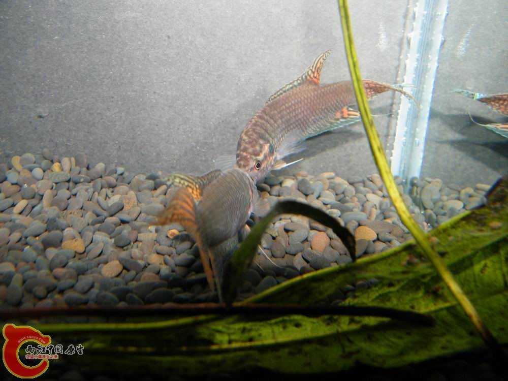 调整大小 照片 121.jpg