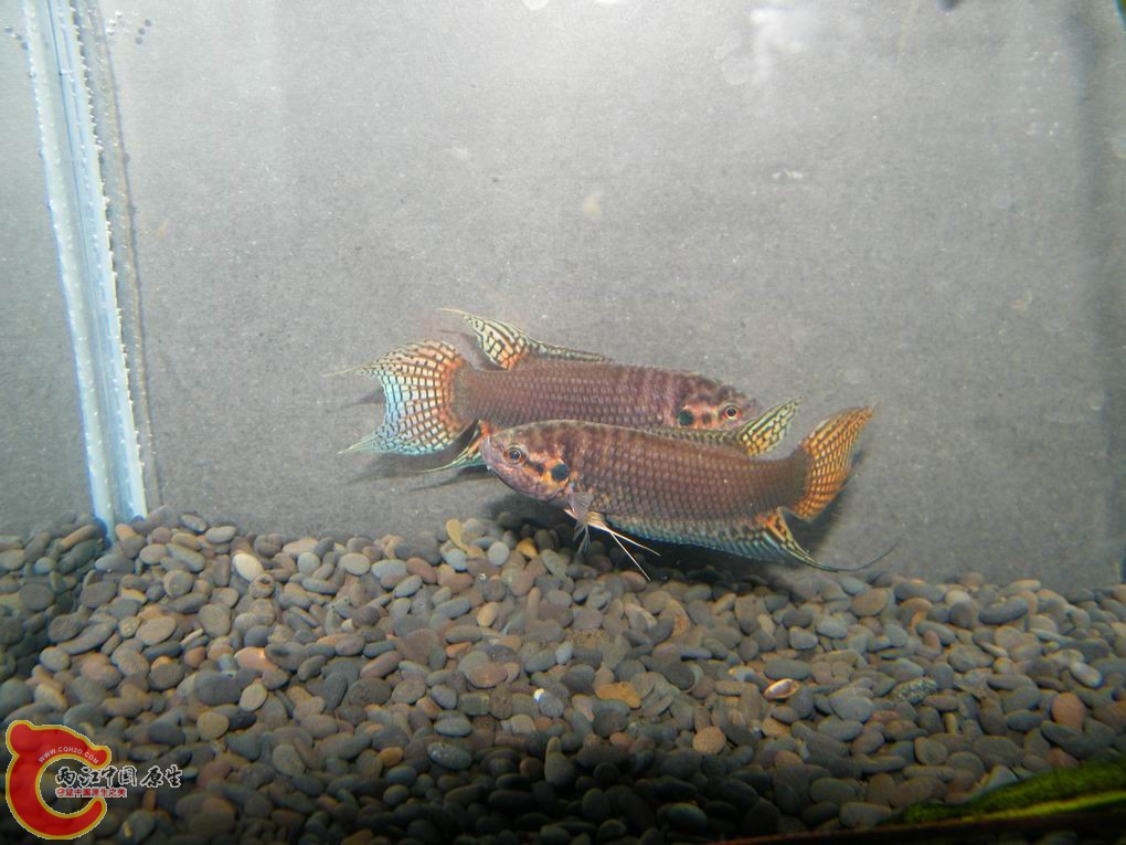 调整大小 照片 113.jpg