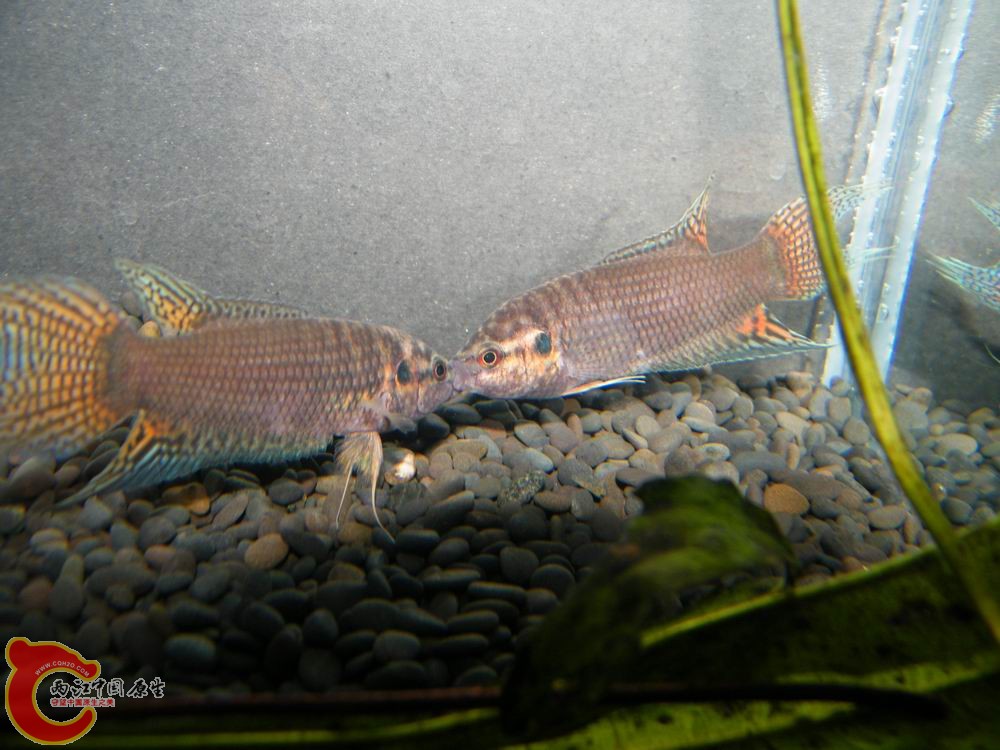 调整大小 照片 124.jpg