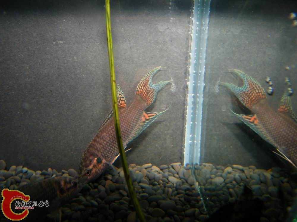 调整大小 照片 123.jpg