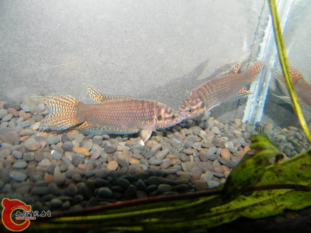 调整大小 照片 126.jpg