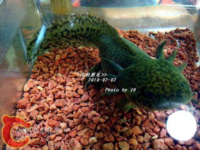DSC05476_调整大小.jpg