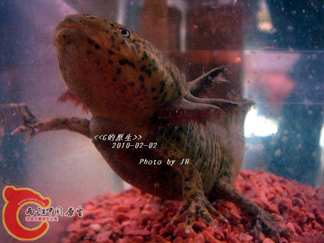 DSC05477_调整大小.jpg