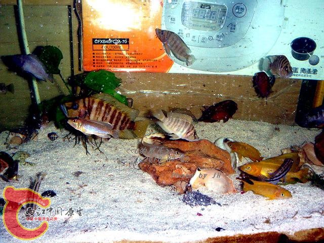 DSC05460_调整大小.jpg