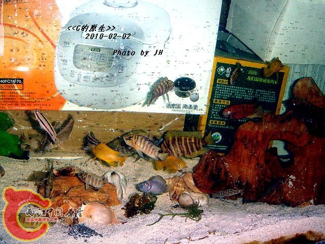 DSC05457_调整大小.jpg