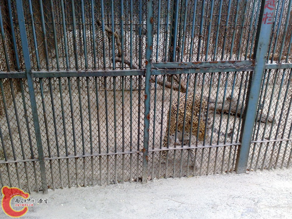 20090501132.jpg