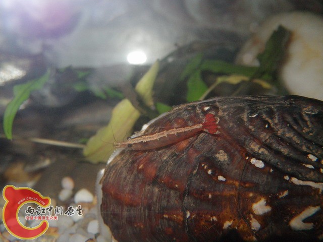 调整大小 IMGP0762.JPG