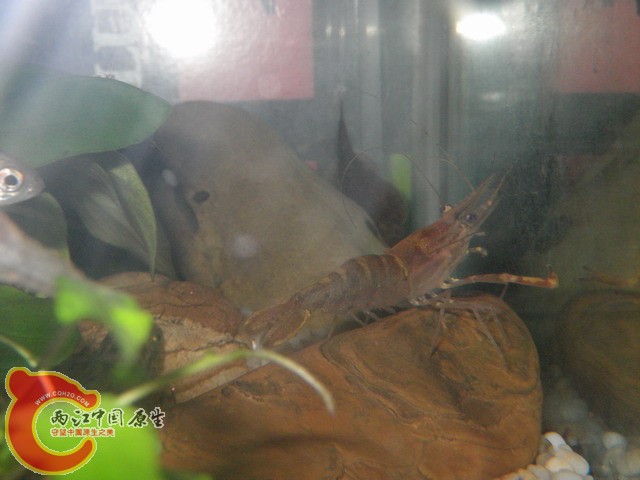 调整大小 IMGP0770.JPG